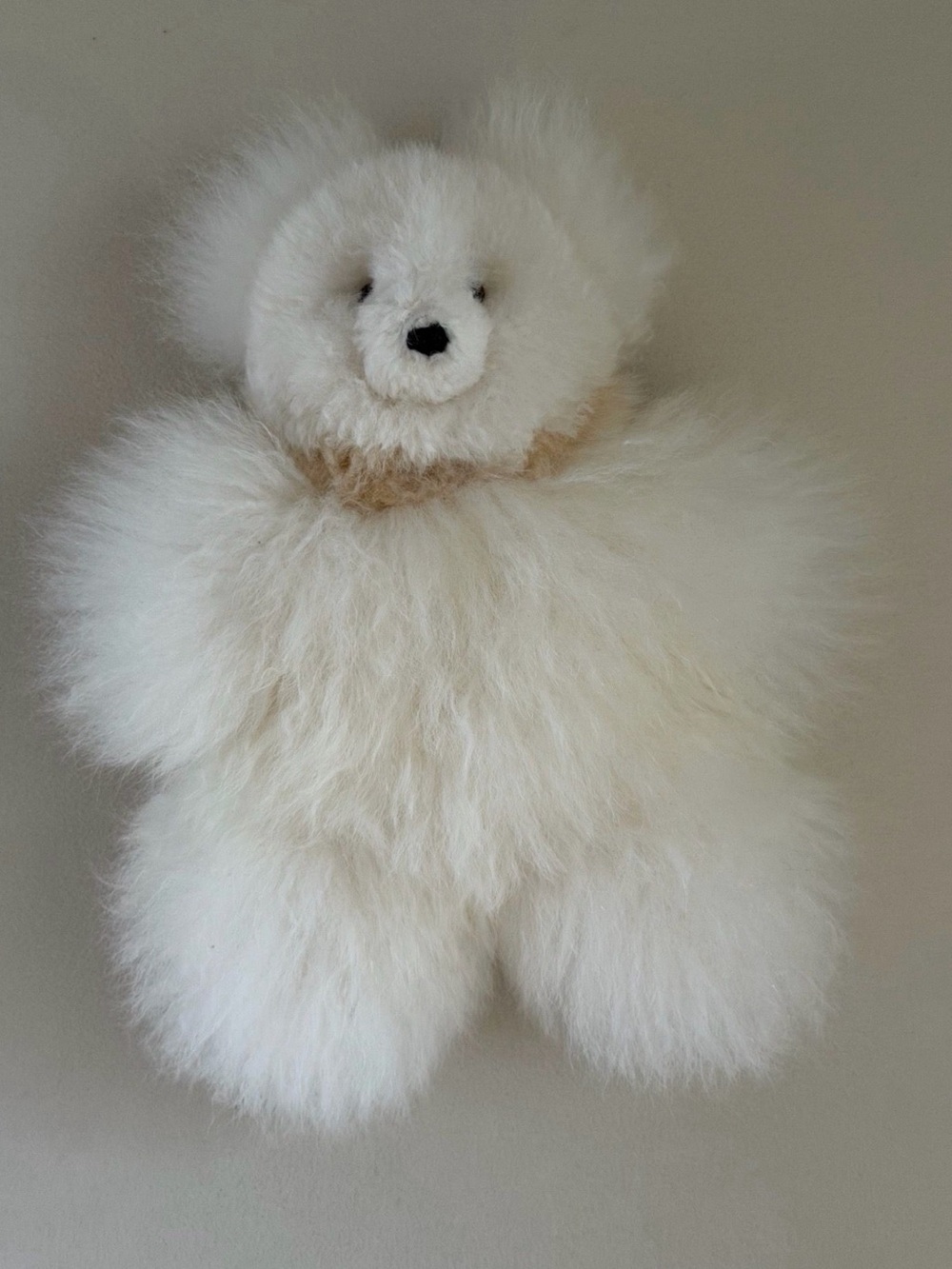 Plush White Fluffy Teddy Bear Stuffed Toy